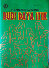 Image of Budi daya itik